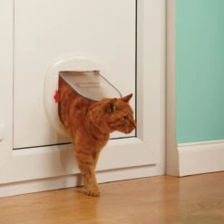 Petsafe Kattenluik - Grote Kat - Transparant 21 Petsafe Kattenluik - Grote Kat - Transparant -Kattenbenodigdheden 1200x1200 790