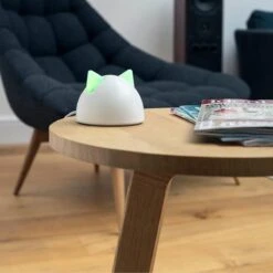 Sureflap Connect HUB -Kattenbenodigdheden 1200x1200 797