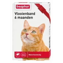 Beaphar Vlooienband Kat - Rood - 1 Stuk 17 Beaphar Vlooienband Kat - Rood - 1 Stuk -Kattenbenodigdheden 1200x1200 8