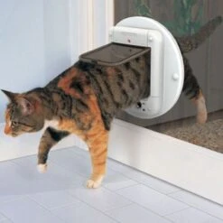Cat Mate Kattendeur Microchip 360 Wit -Kattenbenodigdheden 1200x1200 821