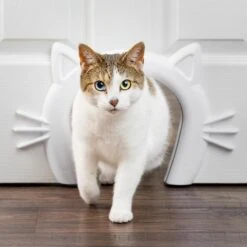 PetSafe Staywell® Cat Corridor - Kattendoorgang Voor Binnenshuis - Overschilderbaar Design - Voor Katten Tot 9 Kg - Staywell Cat Corridor 12 PetSafe Staywell® Cat Corridor - Kattendoorgang Voor Binnenshuis - Overschilderbaar Design - Voor Katten Tot 9 Kg - Staywell Cat Corridor -Kattenbenodigdheden 1200x1200 872