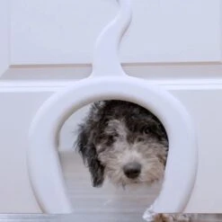 PetSafe Staywell® Cat Corridor - Kattendoorgang Voor Binnenshuis - Overschilderbaar Design - Voor Katten Tot 9 Kg - Staywell Cat Corridor 14 PetSafe Staywell® Cat Corridor - Kattendoorgang Voor Binnenshuis - Overschilderbaar Design - Voor Katten Tot 9 Kg - Staywell Cat Corridor -Kattenbenodigdheden 1200x1200 873