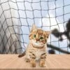 Kattennet Premium EXTRA STEVIG - 600 X 300 CM - Kattennet Voor Balkon - Zwart - Balkon Net - Makkelijk Te Monteren 2 Kattennet Premium EXTRA STEVIG - 600 X 300 CM - Kattennet Voor Balkon - Zwart - Balkon Net - Makkelijk Te Monteren -Kattenbenodigdheden 1200x1200 881