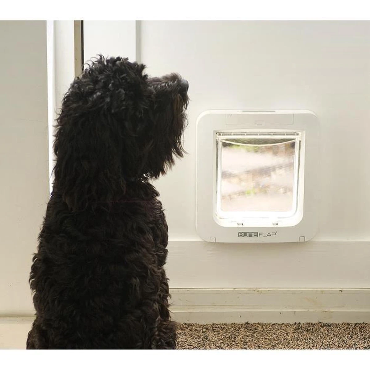 SureFlap Microchip - Kattenluik - Wit - L - 18 X 17 Cm 16 SureFlap Microchip - Kattenluik - Wit - L - 18 X 17 Cm - Afbeelding 14
