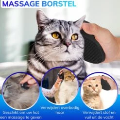Kattenhangmat - Hangmat Kat- Kattenhangmat Raam – Kattenbed - Kattenhangmand - Kattenkussen 19 Kattenhangmat - Hangmat Kat- Kattenhangmat Raam – Kattenbed - Kattenhangmand - Kattenkussen -Kattenbenodigdheden 1200x1200 916