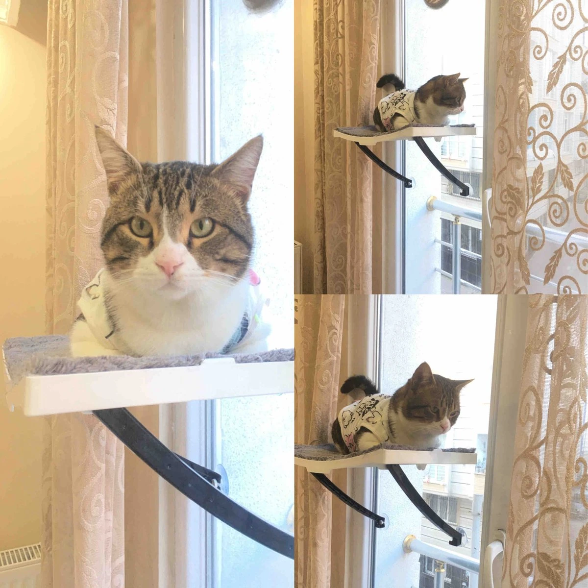 Hobipets - Kattenmand Raam - 5 Zuignappen - Hangmat Kat Raam 5 Hobipets - Kattenmand Raam - 5 Zuignappen - Hangmat Kat Raam - Afbeelding 3