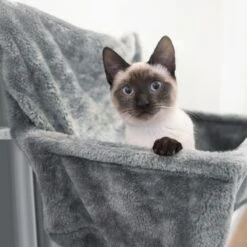 Navaris Hangmat Radiator Voor Katten - Kattenmand Voor Aan De Verwarming - Inclusief Uitneembaar Kussen - Tot 6 Kg 11 Navaris Hangmat Radiator Voor Katten - Kattenmand Voor Aan De Verwarming - Inclusief Uitneembaar Kussen - Tot 6 Kg -Kattenbenodigdheden 1200x1200 947