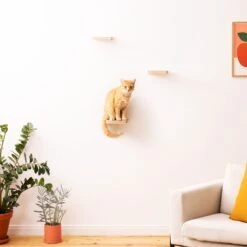 Navaris Katten Klimmuur 3 Tredes - 18 X 18 X 1,5 Cm Per Plankje - Katten Klimwand Van Hout - Inclusief Bevestigingsmateriaal 14 Navaris Katten Klimmuur 3 Tredes - 18 X 18 X 1,5 Cm Per Plankje - Katten Klimwand Van Hout - Inclusief Bevestigingsmateriaal -Kattenbenodigdheden 1200x1200 997