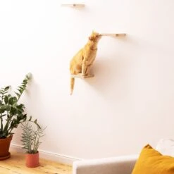 Navaris Katten Klimmuur 3 Tredes - 18 X 18 X 1,5 Cm Per Plankje - Katten Klimwand Van Hout - Inclusief Bevestigingsmateriaal 15 Navaris Katten Klimmuur 3 Tredes - 18 X 18 X 1,5 Cm Per Plankje - Katten Klimwand Van Hout - Inclusief Bevestigingsmateriaal -Kattenbenodigdheden 1200x1200 998