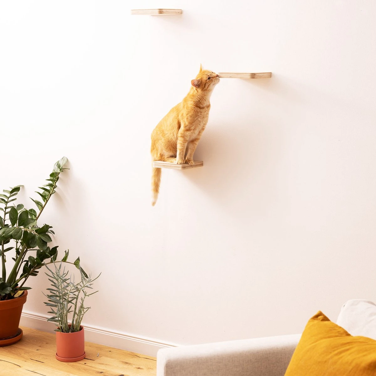 Navaris Katten Klimmuur 3 Tredes - 18 X 18 X 1,5 Cm Per Plankje - Katten Klimwand Van Hout - Inclusief Bevestigingsmateriaal 9 Navaris Katten Klimmuur 3 Tredes - 18 X 18 X 1,5 Cm Per Plankje - Katten Klimwand Van Hout - Inclusief Bevestigingsmateriaal - Afbeelding 7