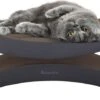 Snoozle Loop Krabpaal Voor Katten - Zwart - 86cm - Krabmeubel Voor Grote Katten - Karton 1 Snoozle Loop Krabpaal Voor Katten - Zwart - 86cm - Krabmeubel Voor Grote Katten - Karton -Kattenbenodigdheden 1200x467