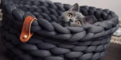 Djambo Kattenmanden, Gevlochten En Zachte Kattenbed, Comfortabel En Warm. 12 Djambo Kattenmanden, Gevlochten En Zachte Kattenbed, Comfortabel En Warm. -Kattenbenodigdheden 1200x600