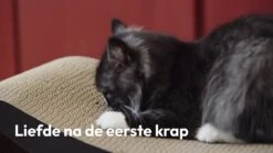 Snoozle Loop Krabpaal Voor Katten - Zwart - 86cm - Krabmeubel Voor Grote Katten - Karton -Kattenbenodigdheden 1200x675 4