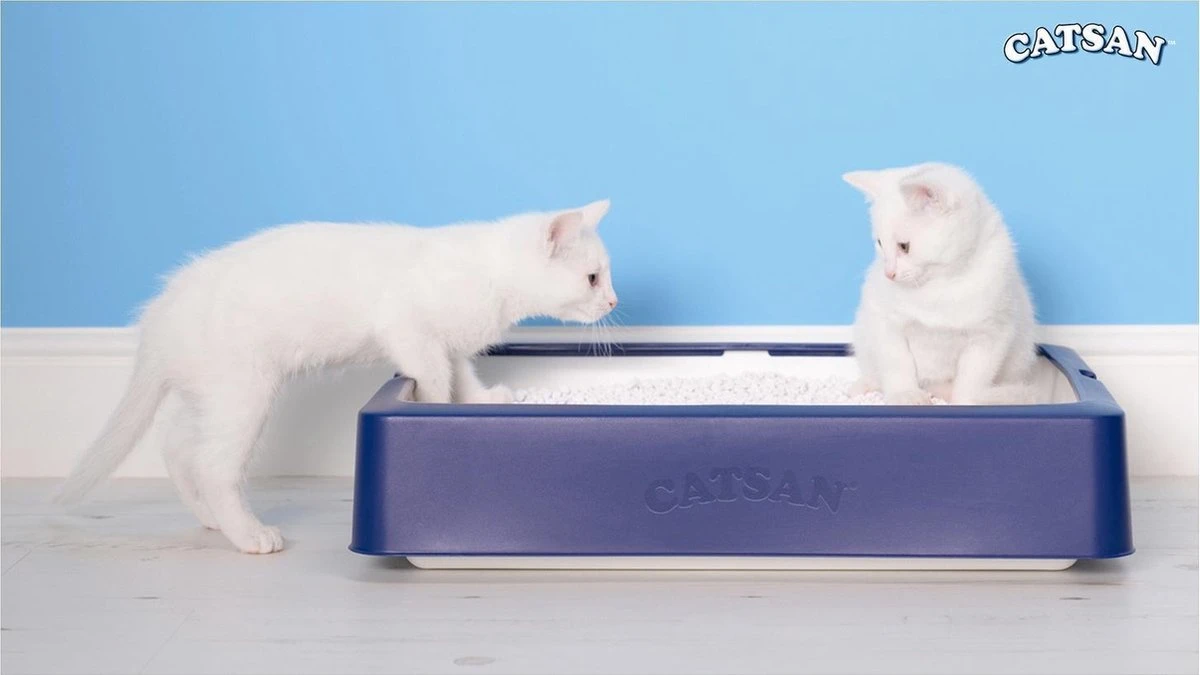 Catsan Active Fresh - Kattenbakvulling - 8 L 8 Catsan Active Fresh - Kattenbakvulling - 8 L - Afbeelding 6