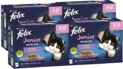 Felix Elke Dag Feest Mix Selectie In Gelei Junior - Katten Droogvoer - 48 X 85g 9 Felix Elke Dag Feest Mix Selectie In Gelei Junior - Katten Droogvoer - 48 X 85g -Kattenbenodigdheden 1200x676