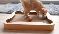 Cheerble Mini Ball 2.0 - Slimme Interactieve Zelf Rollende Bal Voor Katten - 3 Speelmodi - Kattenspeeltjes - USB Oplaadbaar - Rood 25 Cheerble Mini Ball 2.0 - Slimme Interactieve Zelf Rollende Bal Voor Katten - 3 Speelmodi - Kattenspeeltjes - USB Oplaadbaar - Rood -Kattenbenodigdheden 1200x699 2