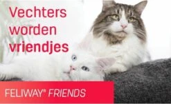 Feliway Friends - Startset - 1 Verdamper Met 1 Vulling - 48 Ml - Anti-conflict Voor Katten 17 Feliway Friends - Startset - 1 Verdamper Met 1 Vulling - 48 Ml - Anti-conflict Voor Katten -Kattenbenodigdheden 1200x735