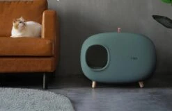 MakeSure Kattenbak Met Lade - Groen - 60 X 38 X 45 Cm - Design 28 MakeSure Kattenbak Met Lade - Groen - 60 X 38 X 45 Cm - Design -Kattenbenodigdheden 1200x778 1