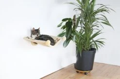 Trixie Hangmat Voor Aan De Muur Beige - 42X41 CM -Kattenbenodigdheden 1200x799 14