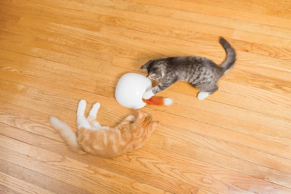 FroliCat Vossenhol - Automatische Kattenplager - Kattenspeelgoed 7 FroliCat Vossenhol - Automatische Kattenplager - Kattenspeelgoed - Afbeelding 5