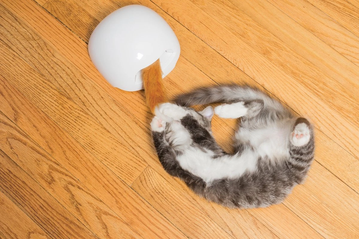 FroliCat Vossenhol - Automatische Kattenplager - Kattenspeelgoed 8 FroliCat Vossenhol - Automatische Kattenplager - Kattenspeelgoed - Afbeelding 6