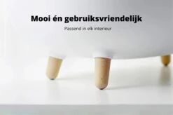 MakeSure Kattenbak Met Lade - Groen - 60 X 38 X 45 Cm - Design 21 MakeSure Kattenbak Met Lade - Groen - 60 X 38 X 45 Cm - Design -Kattenbenodigdheden 1200x799 6