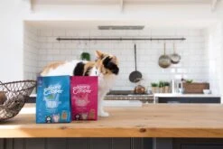 Edgard&Cooper Kitten Kip&Eend&Witvis - Kattenvoer - 3 X 300 G 10 Edgard&Cooper Kitten Kip&Eend&Witvis - Kattenvoer - 3 X 300 G -Kattenbenodigdheden 1200x800