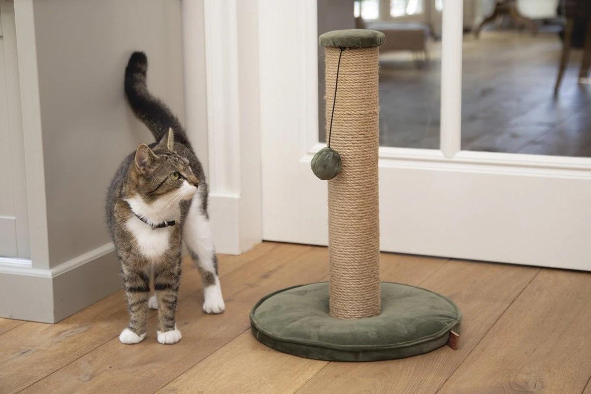 Designed By Lotte Yenna - Krabpaal - Groen - 35x35x50 Cm 4 Designed By Lotte Yenna - Krabpaal - Groen - 35x35x50 Cm - Afbeelding 2