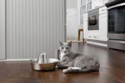 PetSafe® Seaside Stainless Steel Pet Fountain - RVS Drinkfontein Voor Katten En Kleine Honden - Water Borrelt Zacht Over De Toren - Door Het Design Van Alle Kanten Bereikbaar - 1,8 Liter - PetSafe Seaside 13 PetSafe® Seaside Stainless Steel Pet Fountain - RVS Drinkfontein Voor Katten En Kleine Honden - Water Borrelt Zacht Over De Toren - Door Het Design Van Alle Kanten Bereikbaar - 1,8 Liter - PetSafe Seaside -Kattenbenodigdheden 1200x800 31