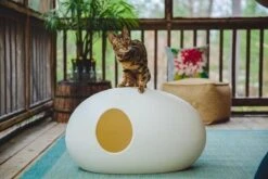 SinDesign Poopoopeedo Kattenbak - Zwart -Kattenbenodigdheden 1200x800 40