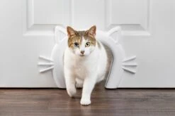PetSafe Staywell® Cat Corridor - Kattendoorgang Voor Binnenshuis - Overschilderbaar Design - Voor Katten Tot 9 Kg - Staywell Cat Corridor 15 PetSafe Staywell® Cat Corridor - Kattendoorgang Voor Binnenshuis - Overschilderbaar Design - Voor Katten Tot 9 Kg - Staywell Cat Corridor -Kattenbenodigdheden 1200x800 46