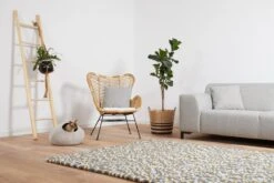 Cat Cave Stone 5 Cat Cave Stone -Kattenbenodigdheden 1200x800 63