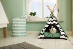 Beeztees Kioni Tipi Tent - Kattenhuis - Zwart/Wit - 50x50x70 Cm 15 Beeztees Kioni Tipi Tent - Kattenhuis - Zwart/Wit - 50x50x70 Cm -Kattenbenodigdheden 1200x800 65