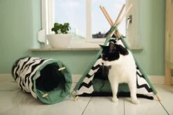 Beeztees Kioni Tipi Tent - Kattenhuis - Zwart/Wit - 50x50x70 Cm 19 Beeztees Kioni Tipi Tent - Kattenhuis - Zwart/Wit - 50x50x70 Cm -Kattenbenodigdheden 1200x800 69