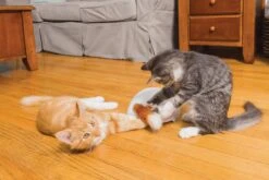 FroliCat Vossenhol - Automatische Kattenplager - Kattenspeelgoed 18 FroliCat Vossenhol - Automatische Kattenplager - Kattenspeelgoed -Kattenbenodigdheden 1200x800 76