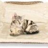 Kattenhangmat - Voor Aan Het Raam - Kattenmand - Raam - Hangmat Kat - Dieren - Kattenbed - Kattenmand - Slaapplek - Ligplaats -Kattenbenodigdheden 1200x801 7