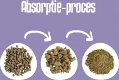 Easypets Houtkorrel Kattenbakvulling 10KG - 20L - Biologisch Afbreekbare Houtkorrels - FSC -Kattenbenodigdheden 1200x802 1