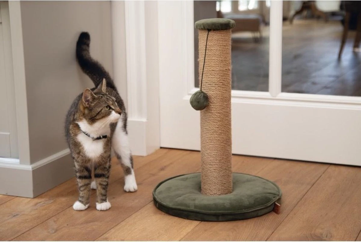 Designed By Lotte Yenna - Krabpaal - Groen - 35x35x50 Cm 5 Designed By Lotte Yenna - Krabpaal - Groen - 35x35x50 Cm - Afbeelding 3