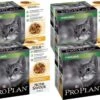 Pro Plan Cat NutriSavour Sterilised Multipack - Kattenvoer - Kip 40x85 G 2 Pro Plan Cat NutriSavour Sterilised Multipack - Kattenvoer - Kip 40x85 G -Kattenbenodigdheden 1200x831 1