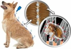 Beaphar DIMETHIcare Line On Kat - Vlooienbestrijding - 6 Pipetten 14 Beaphar DIMETHIcare Line On Kat - Vlooienbestrijding - 6 Pipetten -Kattenbenodigdheden 1200x831