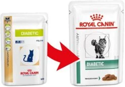 Royal Canin Diabetic Kat Natvoer 12x85 G 10 Royal Canin Diabetic Kat Natvoer 12x85 G -Kattenbenodigdheden 1200x842 1