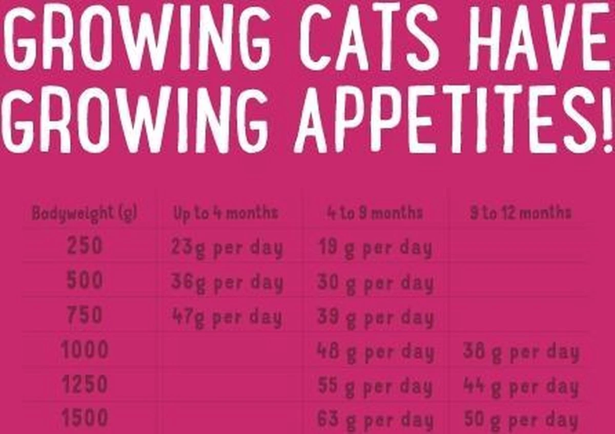 Edgard&Cooper Kitten Kip&Eend&Witvis - Kattenvoer - 3 X 300 G 4 Edgard&Cooper Kitten Kip&Eend&Witvis - Kattenvoer - 3 X 300 G - Afbeelding 2