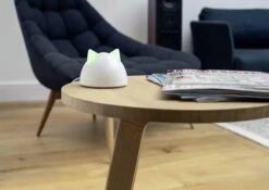 Sureflap Connect HUB -Kattenbenodigdheden 1200x848 2