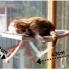 Hobipets - Kattenmand Raam - 5 Zuignappen - Hangmat Kat Raam -Kattenbenodigdheden 1200x856 1
