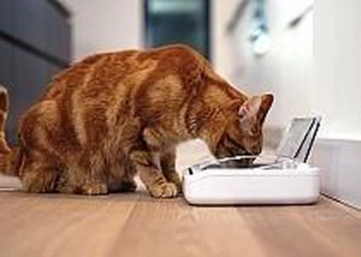 Surefeed Voerbak Afsluitbaar 4 Surefeed Voerbak Afsluitbaar - Afbeelding 2