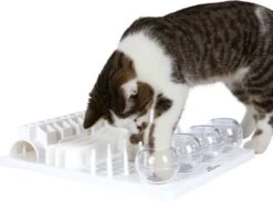 Trixie Cat Activity Fun Bord - 40X30 CM -Kattenbenodigdheden 1200x883 2