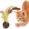 Merkloos EPIN | Kattenkruid Balletje Met Veer | Leuk & Lekker Kattenspeelgoed | Speelgoed Voor Katten 2 Merkloos EPIN | Kattenkruid Balletje Met Veer | Leuk & Lekker Kattenspeelgoed | Speelgoed Voor Katten -Kattenbenodigdheden 1200x884 3
