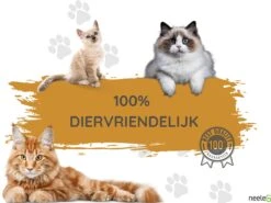 Merkloos Katten Anti Krab XXL Vellen - 10 Stuks - Met NeeleG Springveren - Meubelbescherming - Diervriendelijk - Geen Krabschade Aan Meubels - Bankbescherming - Enkelzijdig Klevend En Transparant - Zonder Punaises - Krabpaal - Anti Scratch - 30x45 CM 15 Merkloos Katten Anti Krab XXL Vellen - 10 Stuks - Met NeeleG Springveren - Meubelbescherming - Diervriendelijk - Geen Krabschade Aan Meubels - Bankbescherming - Enkelzijdig Klevend En Transparant - Zonder Punaises - Krabpaal - Anti Scratch - 30x45 CM -Kattenbenodigdheden 1200x898