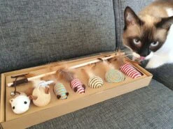 Make Life Beautiful® - Kattenspeeltjes Set - 7-delig - Kattenspeelgoed - Kattenhengel - Speelmuisjes - Kattenspeelgoed Set 17 Make Life Beautiful® - Kattenspeeltjes Set - 7-delig - Kattenspeelgoed - Kattenhengel - Speelmuisjes - Kattenspeelgoed Set -Kattenbenodigdheden 1200x900 16