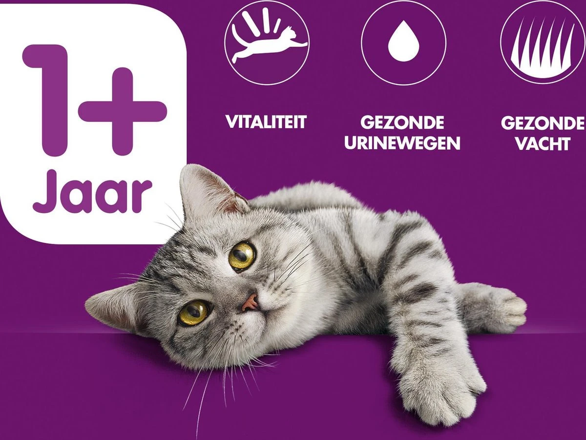 Whiskas Brokjes Adult Rund - Kattenvoer - 1 X 1,9 Kg 4 Whiskas Brokjes Adult Rund - Kattenvoer - 1 X 1,9 Kg - Afbeelding 2